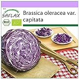 SAFLAX - Ecológico - Col repollo - 250 semillas - Brassica oleracea Foto, nuevo 2024, mejor precio 3,95 € revisión