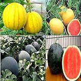 Cozy Crib Multicolor Watermelon Mix About 20 Seeds Photo, new 2024, best price $5.99 ($0.30 / Count) review
