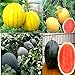 Photo Cozy Crib Multicolor Watermelon Mix About 20 Seeds review