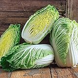 25+ Count Napa Michihili Heading Cabbage Seed, Heirloom, Non GMO Seed Tasty Healthy Veggie Photo, new 2024, best price $1.99 ($0.08 / Count) review