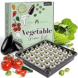 Vegetable Garden Starter Kit – 250+ Vegetable Seeds with Germination Seed Starter Tray, Soil, Markers, & Grow Guide - Vegetable Indoor Garden Kit - Indoor Seedling Seed Starter Kits Photo, new 2024, best price $39.99 review
