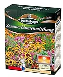 Sommerblumenmischung (ohne Gräser) NEU Foto, neu 2024, bester Preis 7,21 € (72,10 € / kg) Rezension