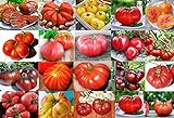Mixed Seeds! 30 Giant Tomato Seeds, Mix of 19 Varieties, Heirloom Non-GMO, Brandywine Black, Red, Yellow & Pink, Mr. Stripey, Old German, Black Krim, from USA Photo, new 2024, best price $5.69 ($0.19 / Count) review