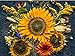 Photo Sunflower Autumn 20K (CHK) Seeds Or 1 Pound review