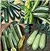 Photo David's Garden Seeds Collection Set Zucchini 9835 (Green) 4 Varieties 100 Non-GMO, Open Pollinated Seeds review