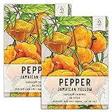 Seed Needs, Jamaican Yellow Pepper Seeds (Capsicum annuum) Twin Pack of 100 Seeds Each Non-GMO Photo, new 2024, best price $7.99 ($4.00 / Count) review