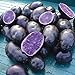Photo Simply Seed - Purple Majesty - Naturally Grown Seed Potatoes - 5 LB- Ready for Spring Planting review