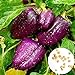 Photo 0 Pcs/sac de graines de poivre doux taux élevé de germination facile à faire pousser, facile à manipuler magnifiquement les graines de poivre de lanterne douce violette pour l'agriculture dom Gra examen