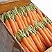 Photo David's Garden Seeds Carrot Napoli 1122 (Orange) 200 Non-GMO, Hybrid Seeds review