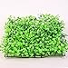 Photo SLSON Aquarium Decorations Grass Artificial Plastic Lawn 9 inches Square Landscape Green Plants for Saltwater Freshwater Tropical Fish Tank Decoration,with 8 Pcs Suction Cups review