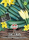 83598 Sperli Premium Zucchini Samen Leila | Zucchini Saatgut | Zuchini Samen | Samen Zucchini | Lange Ernte | Zuchini Saatgut | F1 Foto, neu 2024, bester Preis 5,97 € Rezension