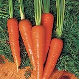 Carrot Seeds - Moonraker Pelleted - 10,000 Seeds Photo, new 2024, best price $20.99 ($0.00 / Count) review