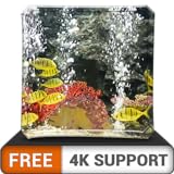 aquarium paisible HD gratuit - décorez votre chambre avec un magnifique aquarium de vie marine sur votre téléviseur HDR 4K, votre téléviseur 8K et vos appareils à feu comme fond d'écran, décoration po Photo, nouveau 2024, meilleur prix 0,00 € examen