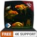 Photo FREE Beautiful Aquarium HD - Decorate your room with beautiful Aquarium on your HDR 4K TV, 8K TV and Fire Devices as a wallpaper, Decoration for Christmas Holidays, Theme for Mediation & Peace review