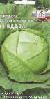 Photo Cabbage grade Vdova F1