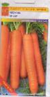 foto La carota la cultivar Yaguar F1
