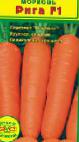 foto La carota la cultivar Riga