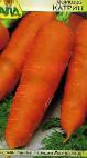 foto La carota la cultivar Katrin