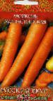 foto La carota la cultivar Monastyrskaya 