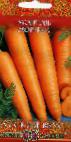 foto La carota la cultivar Morevna 