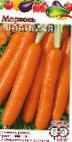 foto La carota la cultivar Lyubimaya