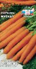 foto La carota la cultivar Muskat