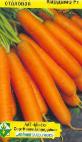 foto La carota la cultivar Kardameh F1