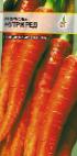 foto La carota la cultivar Nutri red