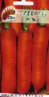 foto La carota la cultivar Sadko
