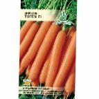 foto La carota la cultivar Totem F1