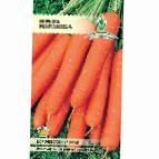 foto La carota la cultivar Marlinka