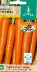 foto La carota la cultivar Khavroshechka