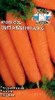 Photo Carrot grade Vitaminnaya 6