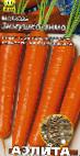 foto La carota la cultivar Zimushka-zima