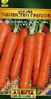 foto La carota la cultivar Lakomstvo gnomov