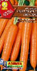foto La carota la cultivar Nantskaya 2 Tip Top