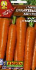 foto La carota la cultivar Oranzhevyjj korol