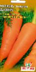 foto La carota la cultivar Dayana 