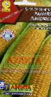 Photo un maïs l'espèce Rannyaya Lakomka