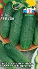 Photo Cucumbers grade Buyan F1