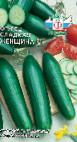 Photo Cucumbers grade Sladkaya Zhenshhina F1