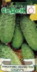 foto I cetrioli la cultivar Sudar