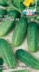 Photo Cucumbers grade Khrumka F1