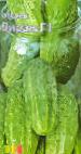 Photo Cucumbers grade Virazh F1 (Selekciya Myazinojj L.A.)