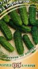 Photo Cucumbers grade Borovichok F1