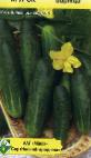 Photo Cucumbers grade Zarnica