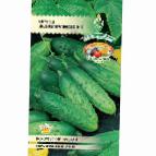 Photo Cucumbers grade Zhavoronok f1