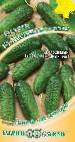Photo Cucumbers grade Nastya-na-Schaste F1