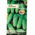 Photo Cucumbers grade Talalajj F1
