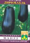 Photo Eggplant grade Dirizhabl